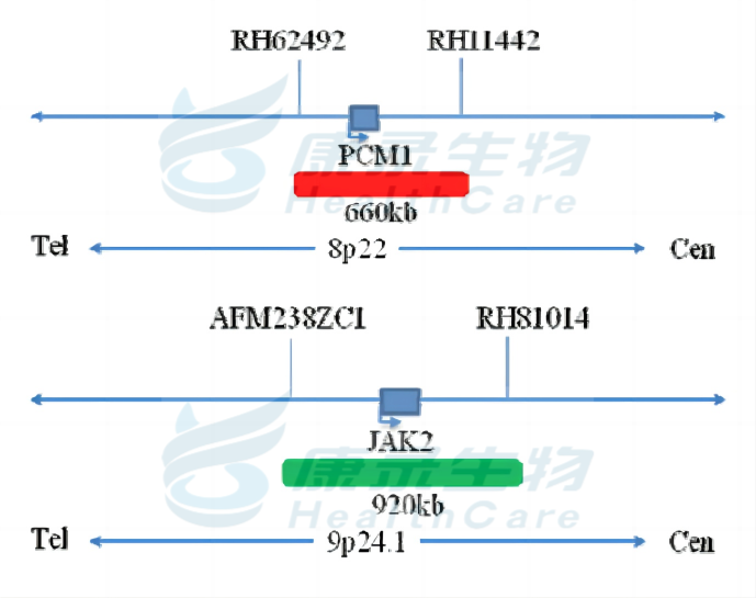 中国·拉斯维加斯(3499·官方认证)网站-Officialwebsite